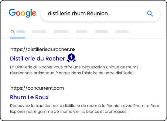 referencement_seo_re Référencement SEO .re
